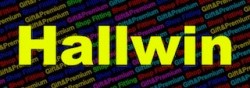 Logo HALLWIN